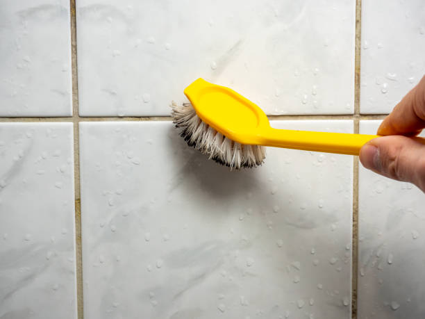 Mold Testing and Removal in Highland Lakes, NJ